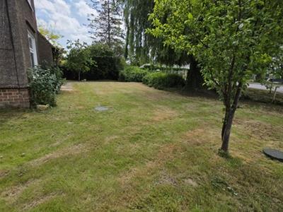 Picture 21